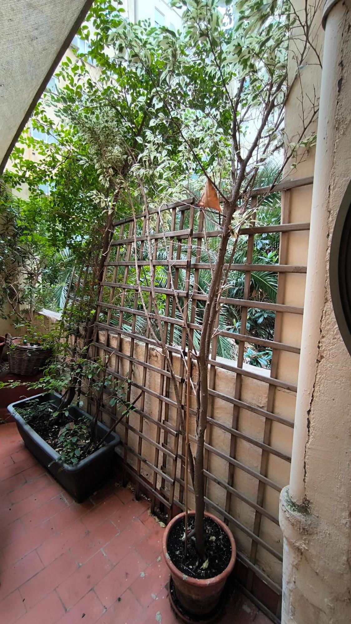 7 Moons B&B Valencia Kültér fotó